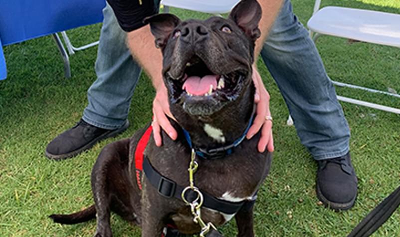 PHOTOS: Sept 2019 KLOS Pet Adoption Day