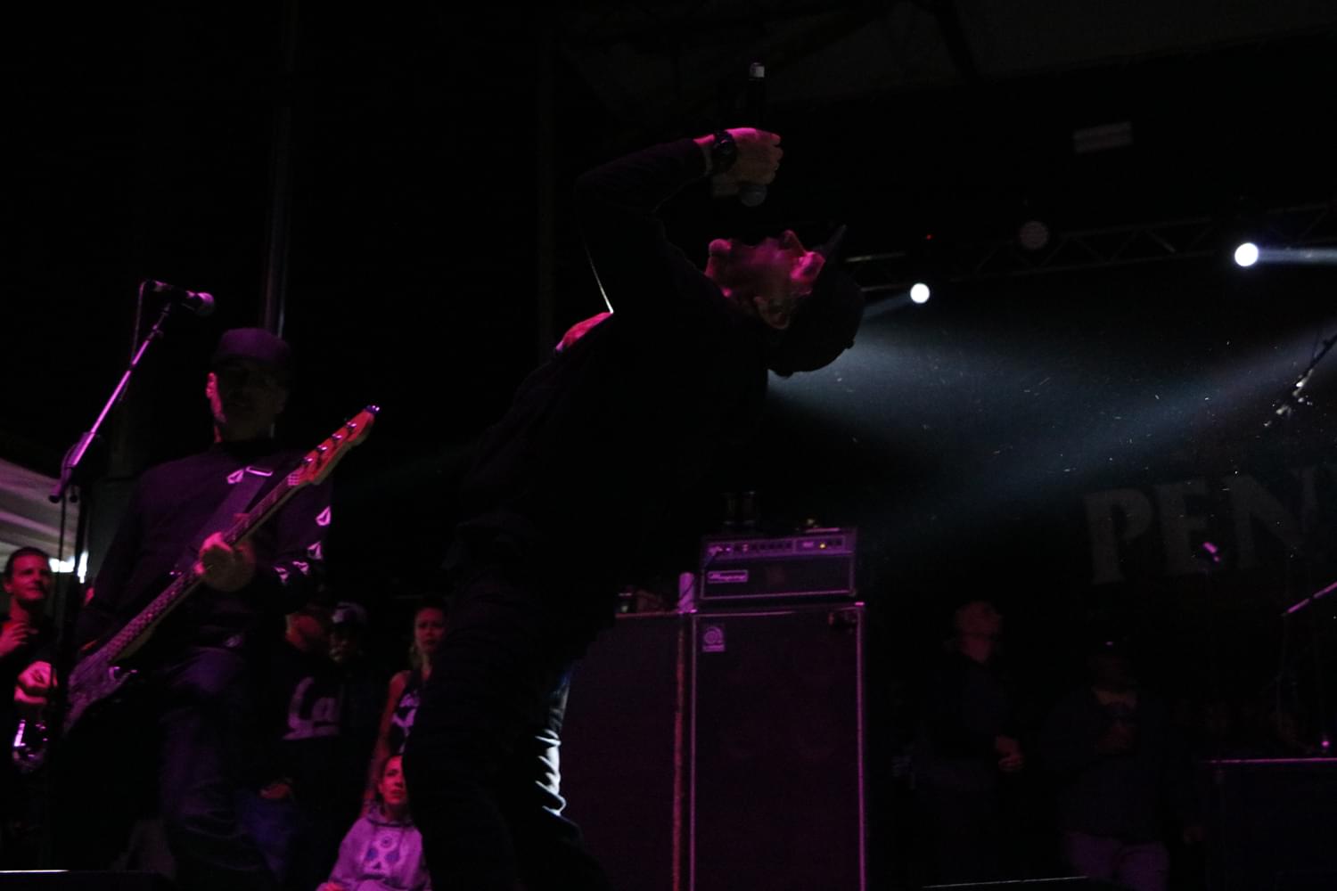 Photo Gallery: Gnarlytown